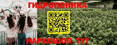 МДПВ Партизанск