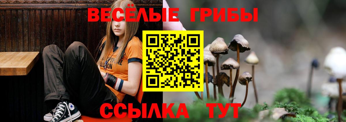 Саров  Галлюциногенные грибы Psilocybe  Вход с VPN 
