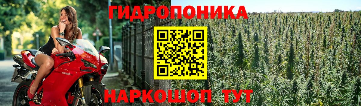 Канабис VHQ  Марихуана план  Бошки марихуана THC 21%  Саров  МАРИХУАНА марихуана  Вход с VPN 